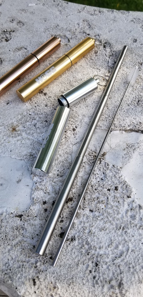 Portable Metal Straw with Case
